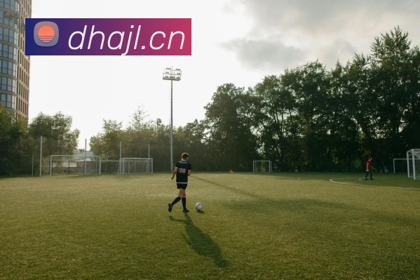 星空体育综合平台发展历程